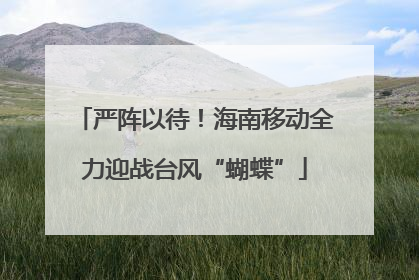 严阵以待！海南移动全力迎战台风“蝴蝶”