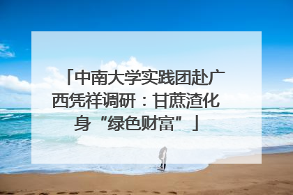 中南大学实践团赴广西凭祥调研：甘蔗渣化身“绿色财富”