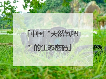 中国“天然氧吧”的生态密码