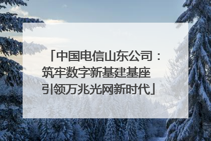 中国电信山东公司：筑牢数字新基建基座 引领万兆光网新时代