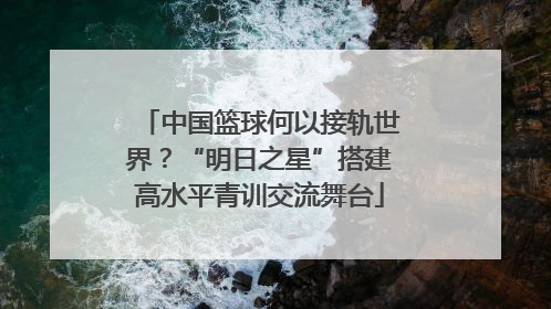 中国篮球何以接轨世界？“明日之星”搭建高水平青训交流舞台