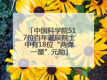 中国科学院517位百年诞辰院士中有18位“两弹一星”元勋