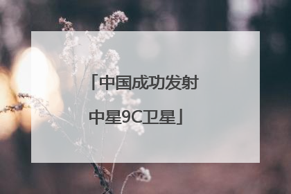 中国成功发射中星9C卫星