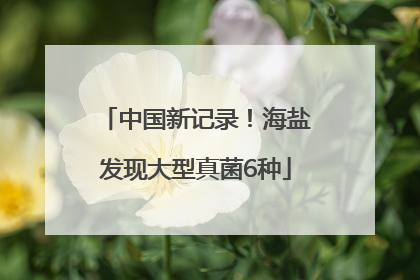 中国新记录！海盐发现大型真菌6种