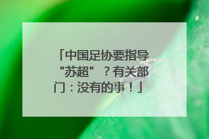 中国足协要指导“苏超”？有关部门：没有的事！