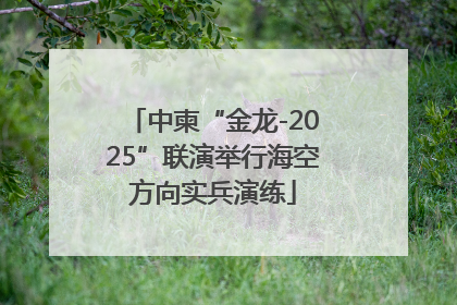 中柬“金龙-2025”联演举行海空方向实兵演练