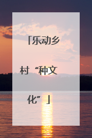 乐动乡村“种文化”