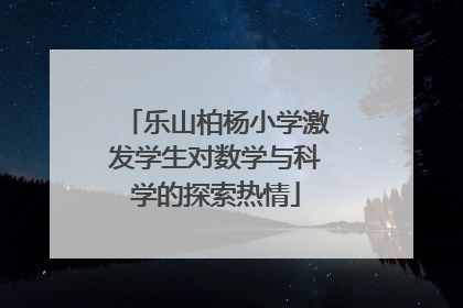 乐山柏杨小学激发学生对数学与科学的探索热情