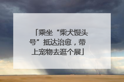 乘坐“柴犬馒头号”抵达治愈，带上宠物去逛个展