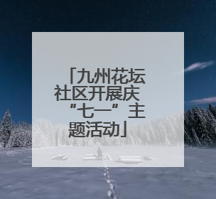 九州花坛社区开展庆“七一”主题活动