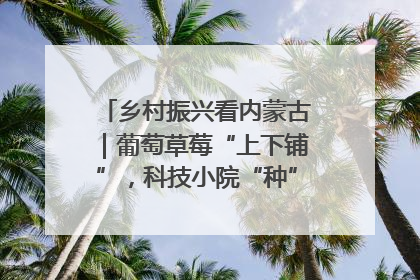 乡村振兴看内蒙古｜葡萄草莓“上下铺”，科技小院“种”出三倍效益