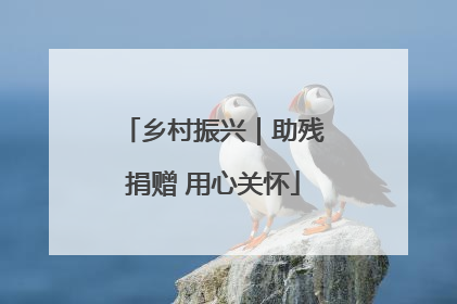 乡村振兴｜助残捐赠 用心关怀