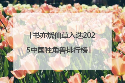书亦烧仙草入选2025中国独角兽排行榜