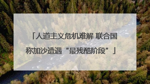 人道主义危机难解 联合国称加沙遭遇“最残酷阶段”