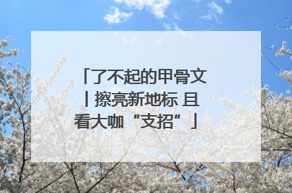 了不起的甲骨文丨擦亮新地标 且看大咖“支招”