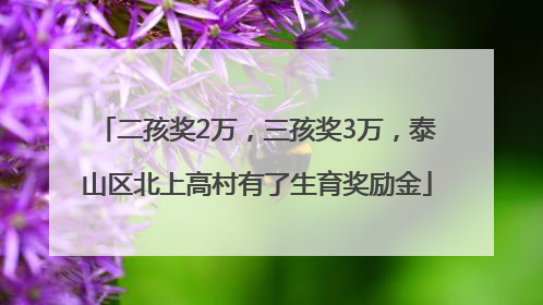二孩奖2万，三孩奖3万，泰山区北上高村有了生育奖励金