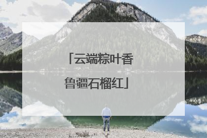 云端粽叶香 鲁疆石榴红