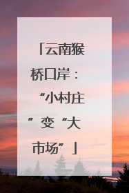 云南猴桥口岸：“小村庄”变“大市场”