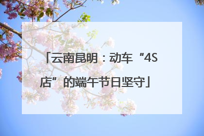 云南昆明：动车“4S店”的端午节日坚守