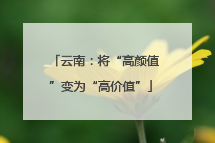 云南：将“高颜值”变为“高价值”