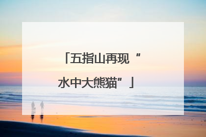五指山再现“水中大熊猫”
