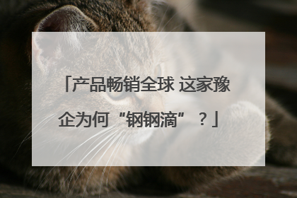 产品畅销全球 这家豫企为何“钢钢滴”？