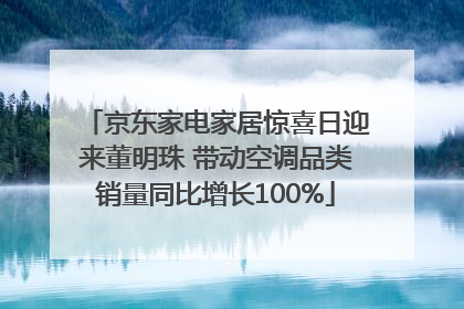 京东家电家居惊喜日迎来董明珠 带动空调品类销量同比增长100%