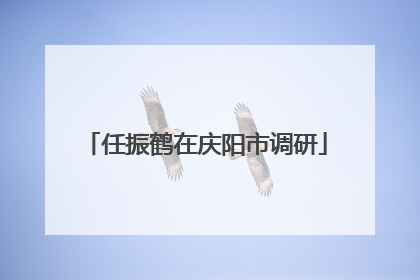 任振鹤在庆阳市调研