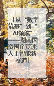 从“数字筑基”到“AI领航”——湖南国资国企竞速人工智能新赛道