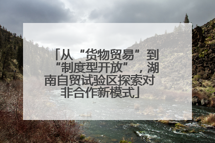 从“货物贸易”到“制度型开放”，湖南自贸试验区探索对非合作新模式