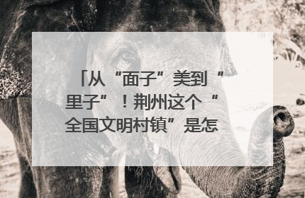 从“面子”美到“里子”！荆州这个“全国文明村镇”是怎样炼成的？