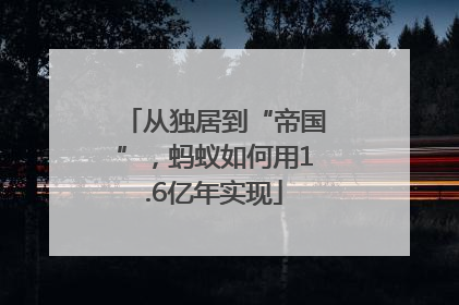 从独居到“帝国”，蚂蚁如何用1.6亿年实现