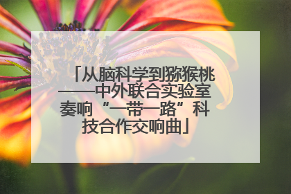 从脑科学到猕猴桃——中外联合实验室奏响“一带一路”科技合作交响曲
