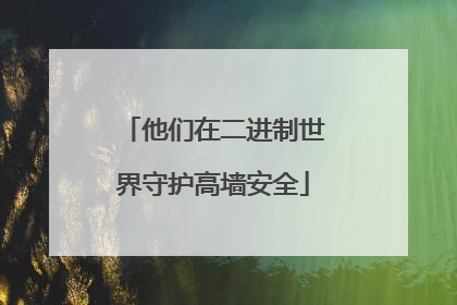 他们在二进制世界守护高墙安全