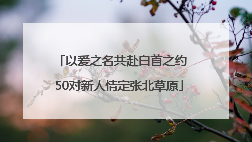 以爱之名共赴白首之约 50对新人情定张北草原