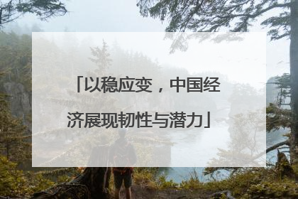 以稳应变，中国经济展现韧性与潜力