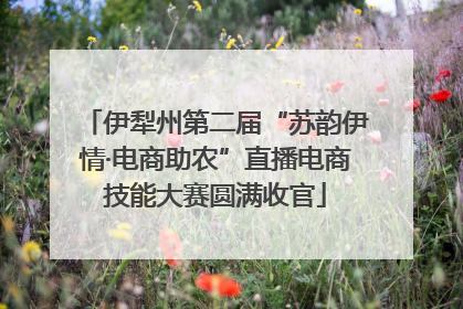 伊犁州第二届“苏韵伊情·电商助农”直播电商技能大赛圆满收官