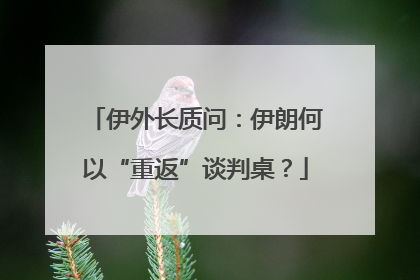 伊外长质问：伊朗何以“重返”谈判桌？
