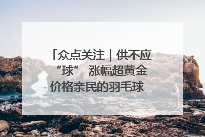 众点关注｜供不应“球” 涨幅超黄金 价格亲民的羽毛球为何身价飞涨？