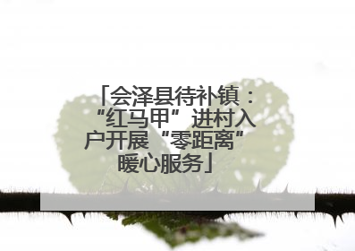 会泽县待补镇：“红马甲”进村入户开展“零距离”暖心服务
