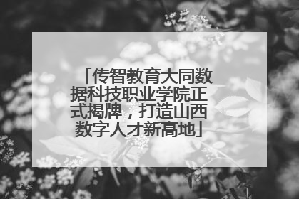 传智教育大同数据科技职业学院正式揭牌，打造山西数字人才新高地