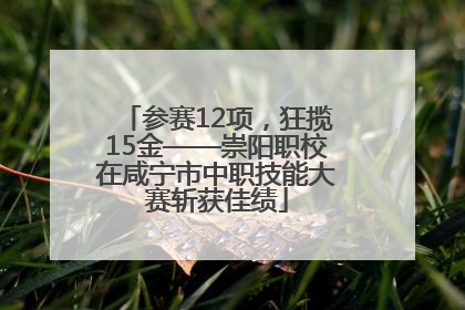 参赛12项，狂揽15金——崇阳职校在咸宁市中职技能大赛斩获佳绩