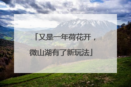 又是一年荷花开，微山湖有了新玩法