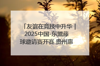 友谊在竞技中升华｜2025中国-东盟藤球邀请赛开赛 贵州惠水燃动“空中芭蕾”