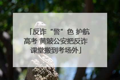 反诈“警”色 护航高考 黄陂公安把反诈课堂搬到考场外