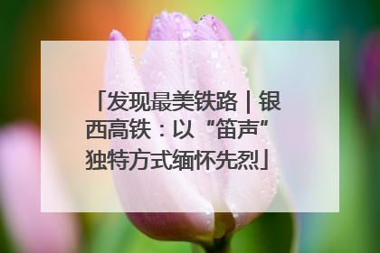 发现最美铁路｜银西高铁：以“笛声”独特方式缅怀先烈