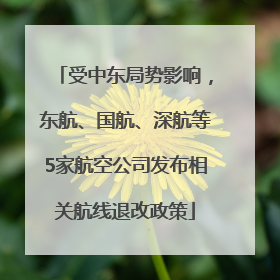 受中东局势影响，东航、国航、深航等5家航空公司发布相关航线退改政策