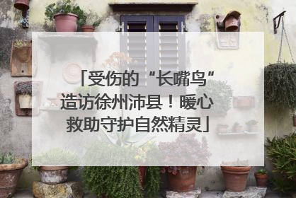 受伤的“长嘴鸟”造访徐州沛县！暖心救助守护自然精灵