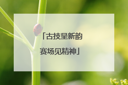 古技呈新韵 赛场见精神