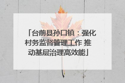 台前县孙口镇：强化村务监督管理工作 推动基层治理高效能